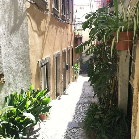 Casa Da Saudade, A Cozy In Alfama *